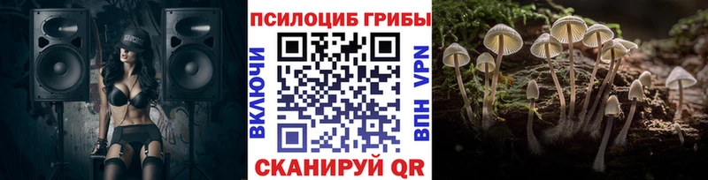 Галлюциногенные грибы MAGIC MUSHROOMS  цена   Новоалтайск 